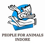 pfa logo